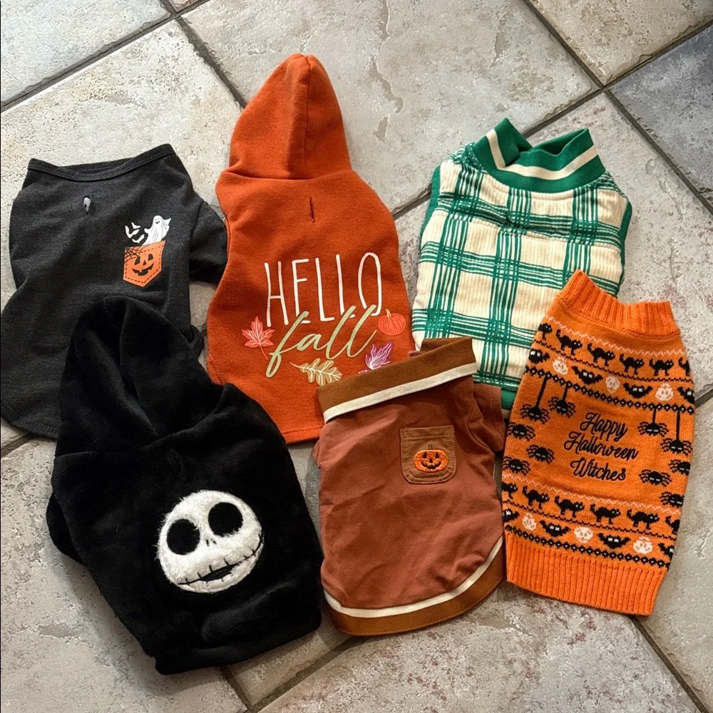 Lot of XS dog shirts and sweaters - Picture 1 of 2